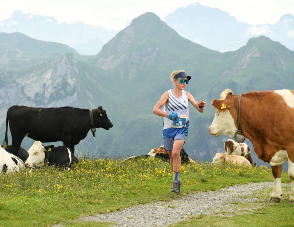 World Champion Emma Pooley running past alpine cows with mountains in the background.