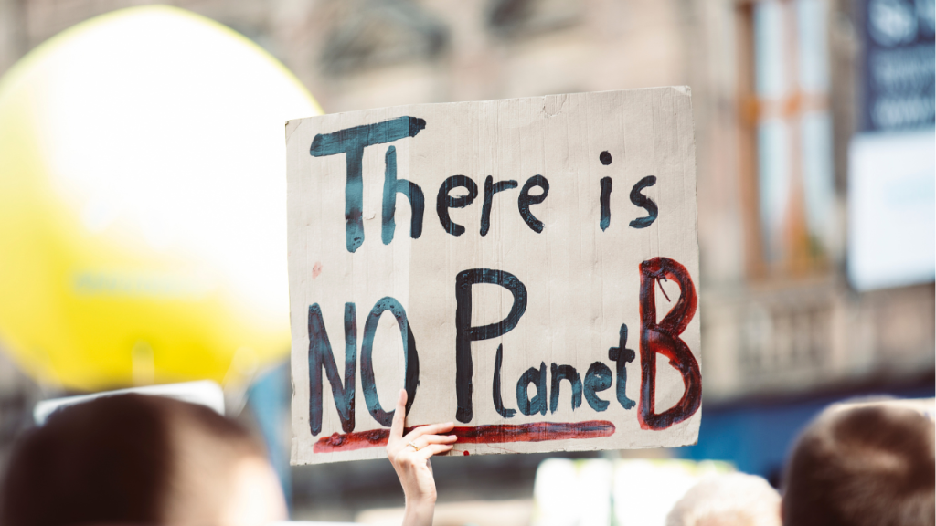 A person holding a banner which reads "There is NO Planet B"