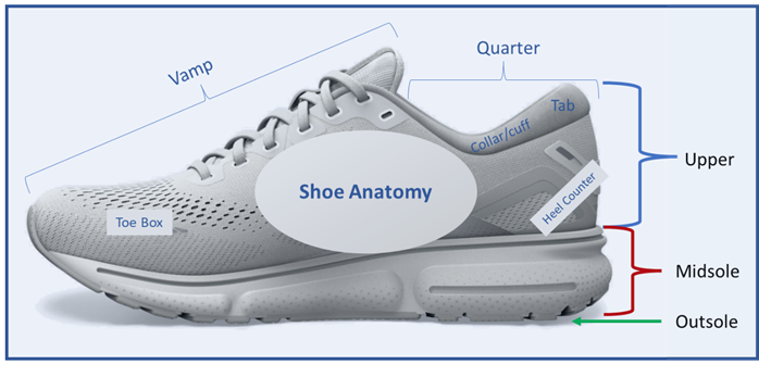 A diagram of a shoe outlining the main component parts