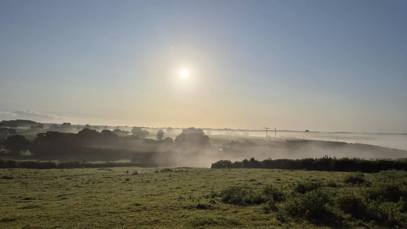 Morning on the moors